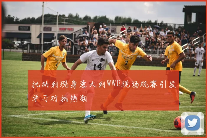 托纳利现身意大利WWE现场观赛引发学习对抗热潮